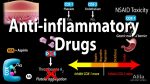 The Strongest Anti-Inflammatory Medications: A Comprehensive Guide